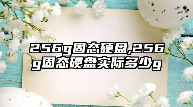 256g固態(tài)硬盤,256g固態(tài)硬盤實際多少g