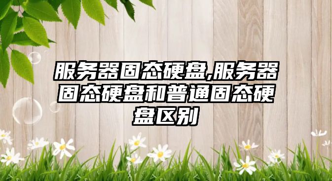 玉翠科技網(wǎng)