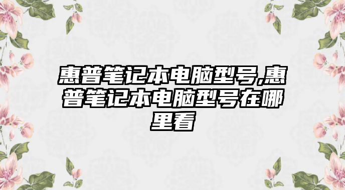 惠普筆記本電腦型號(hào),惠普筆記本電腦型號(hào)在哪里看