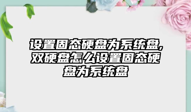 設置固態(tài)硬盤為系統(tǒng)盤,雙硬盤怎么設置固態(tài)硬盤為系統(tǒng)盤