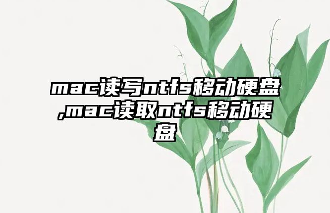 mac讀寫ntfs移動(dòng)硬盤,mac讀取ntfs移動(dòng)硬盤