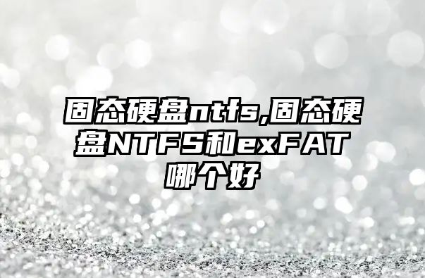 固態(tài)硬盤(pán)ntfs,固態(tài)硬盤(pán)NTFS和exFAT哪個(gè)好