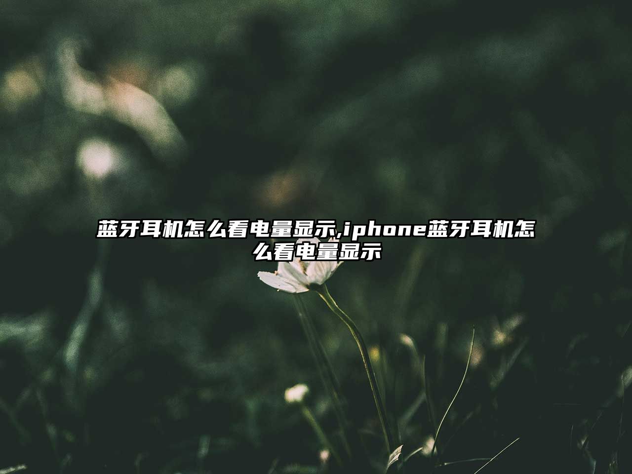 玉翠科技網(wǎng)