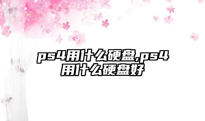 ps4用什么硬盤,ps4用什么硬盤好