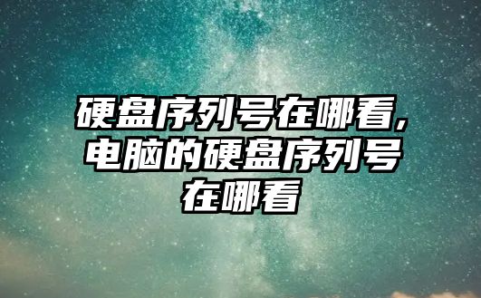 硬盤序列號在哪看,電腦的硬盤序列號在哪看