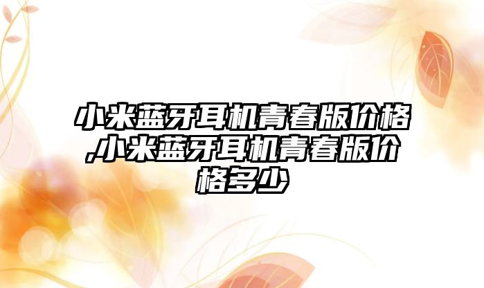 小米藍牙耳機青春版價格,小米藍牙耳機青春版價格多少