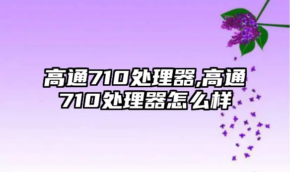 高通710處理器,高通710處理器怎么樣