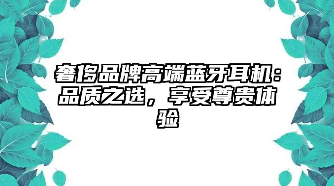 奢侈品牌高端藍(lán)牙耳機(jī)：品質(zhì)之選，享受尊貴體驗(yàn)