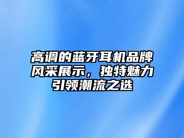高調(diào)的藍牙耳機品牌風采展示，獨特魅力引領(lǐng)潮流之選