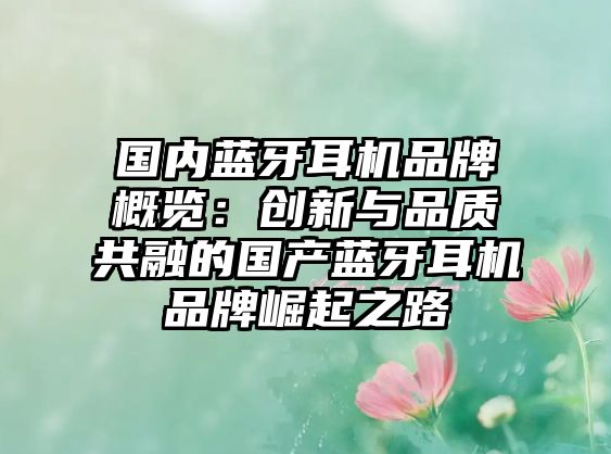 國內(nèi)藍(lán)牙耳機(jī)品牌概覽:創(chuàng)新與品質(zhì)共融的國產(chǎn)藍(lán)牙耳機(jī)品牌崛起之路